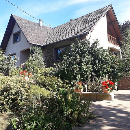 Chambre D'Hotes Du Schneeberg Bed & Breakfast Alteckendorf Екстериор снимка