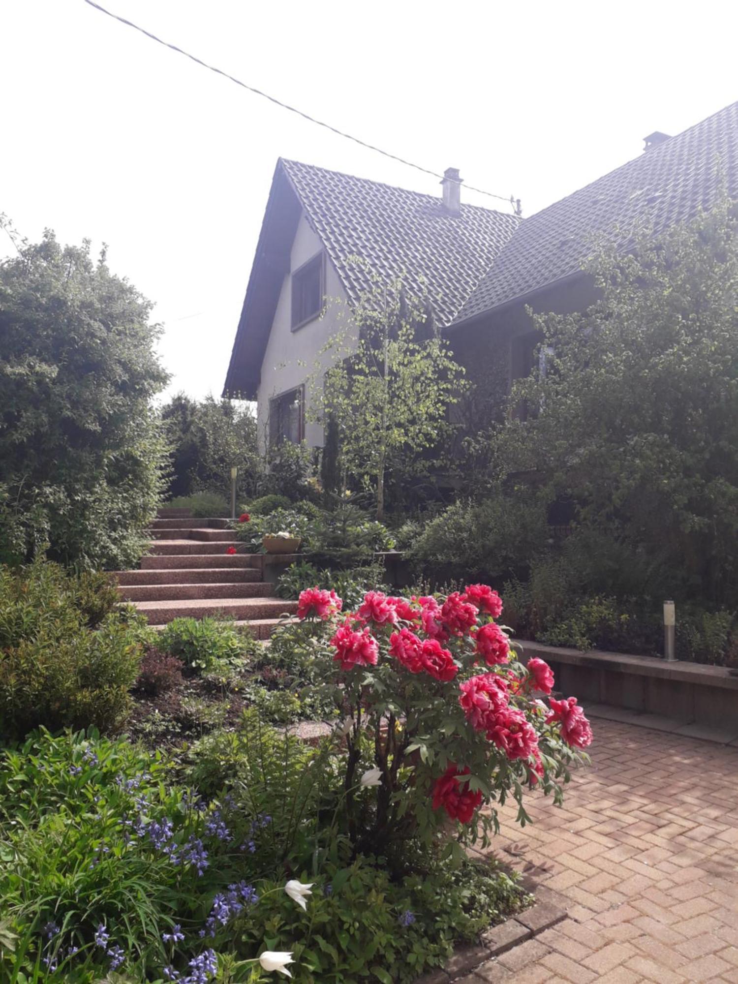 Chambre D'Hotes Du Schneeberg Bed & Breakfast Alteckendorf Екстериор снимка